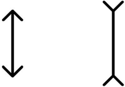 Low vision aids and age are associated with Müller-Lyer illusion in congenital visually impaired children